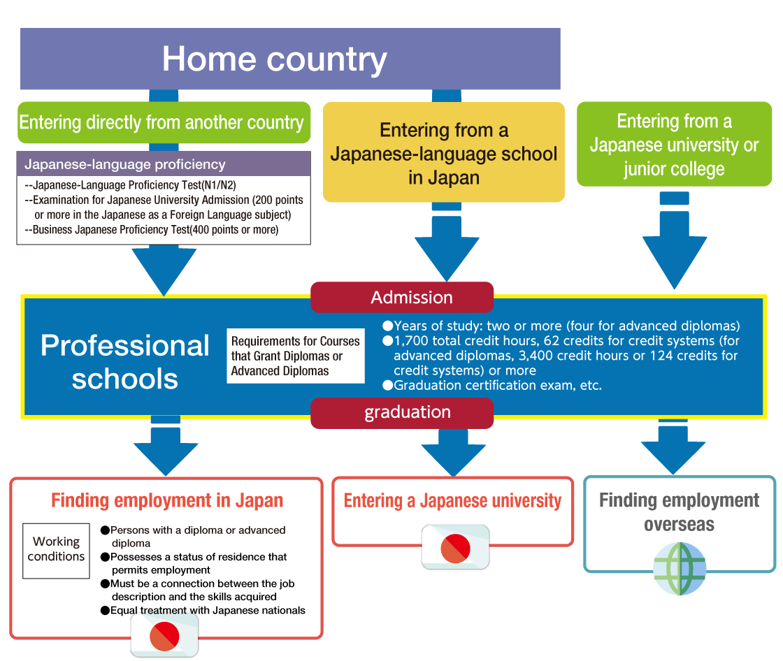 Entering a professional school - Educational and career path after graduating a professional school