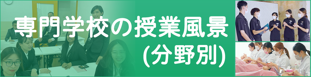 Class Contents of Certified Professional Schools(by field)