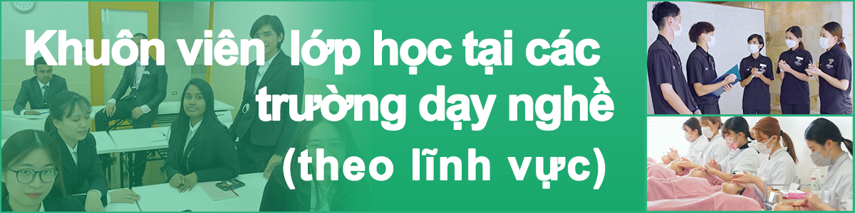 Class Contents of Certified Professional Schools(by field)