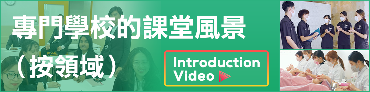 Class Contents of Certified Professional Schools(by field)