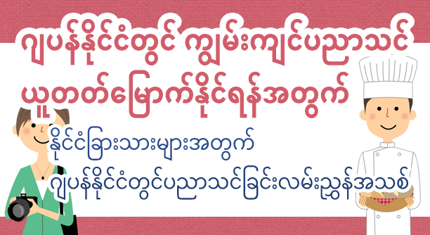 Developing Expertise in Japan