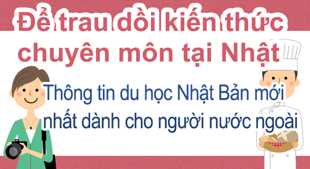 Developing Expertise in Japan