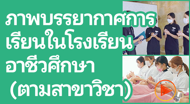 Class Contents of Certified Professional Schools(by field)