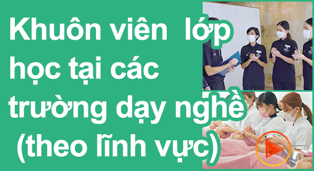 Class Contents of Certified Professional Schools(by field)